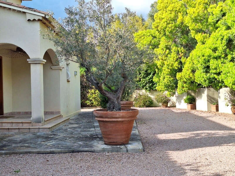 Maison à BASTELICACCIA