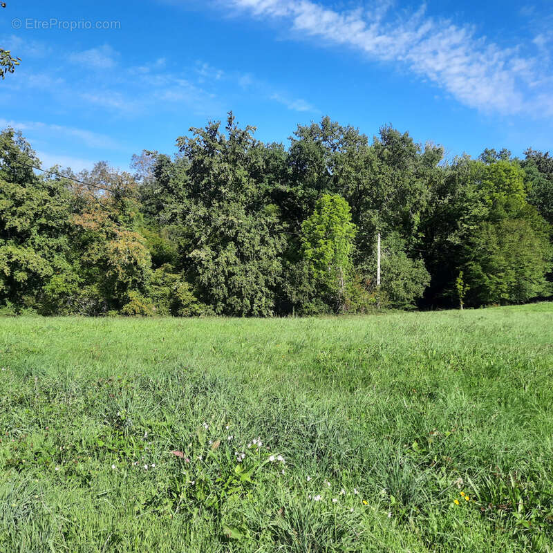 Terrain à ESCOUTOUX