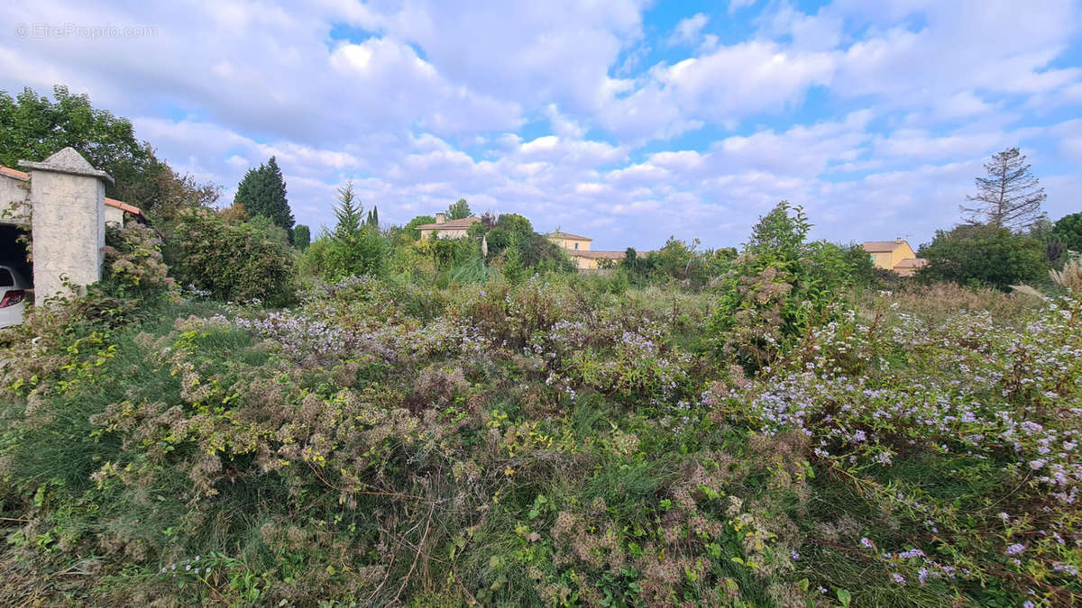 Terrain à BARBENTANE