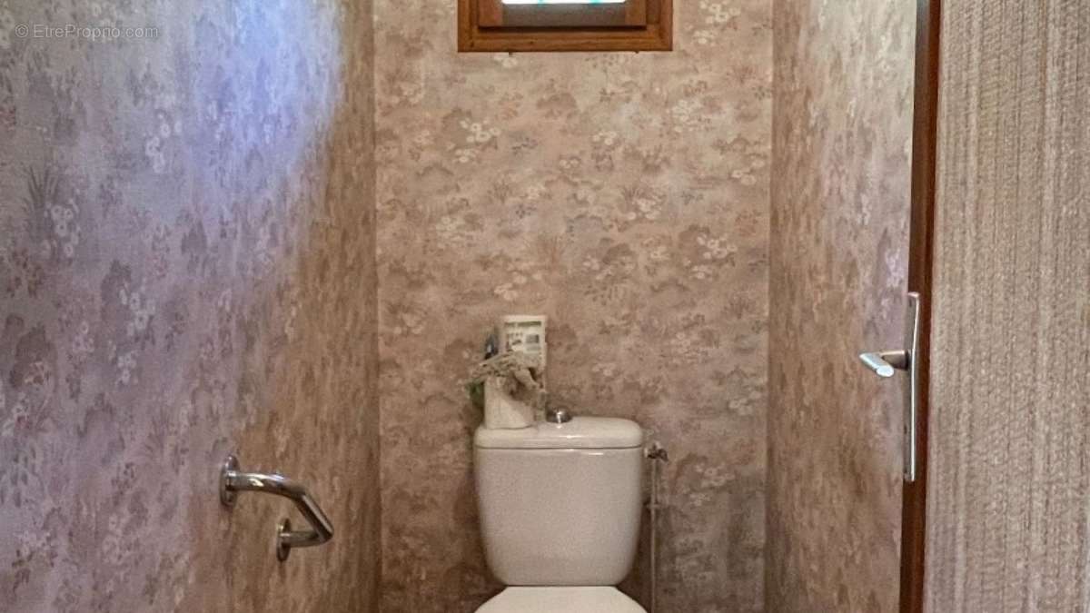 toilette rdc - Maison à SAINT-CYPRIEN