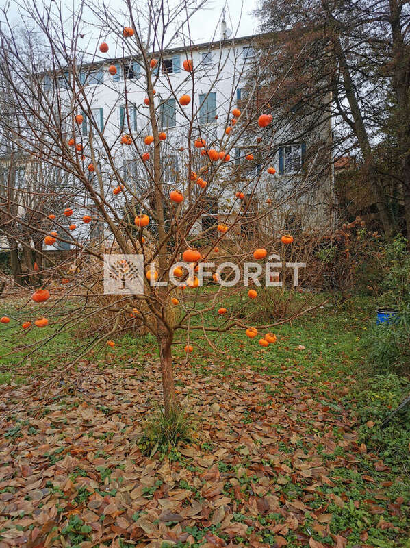 Appartement à NEUVILLE-SUR-SAONE