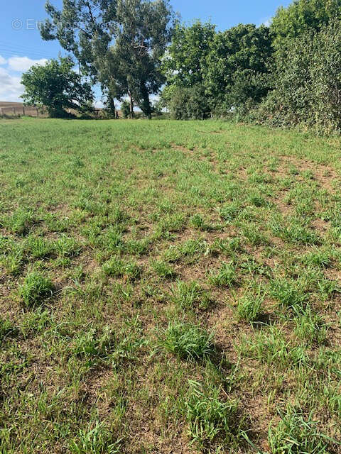 Appartement à AMBRIERES-LES-VALLEES