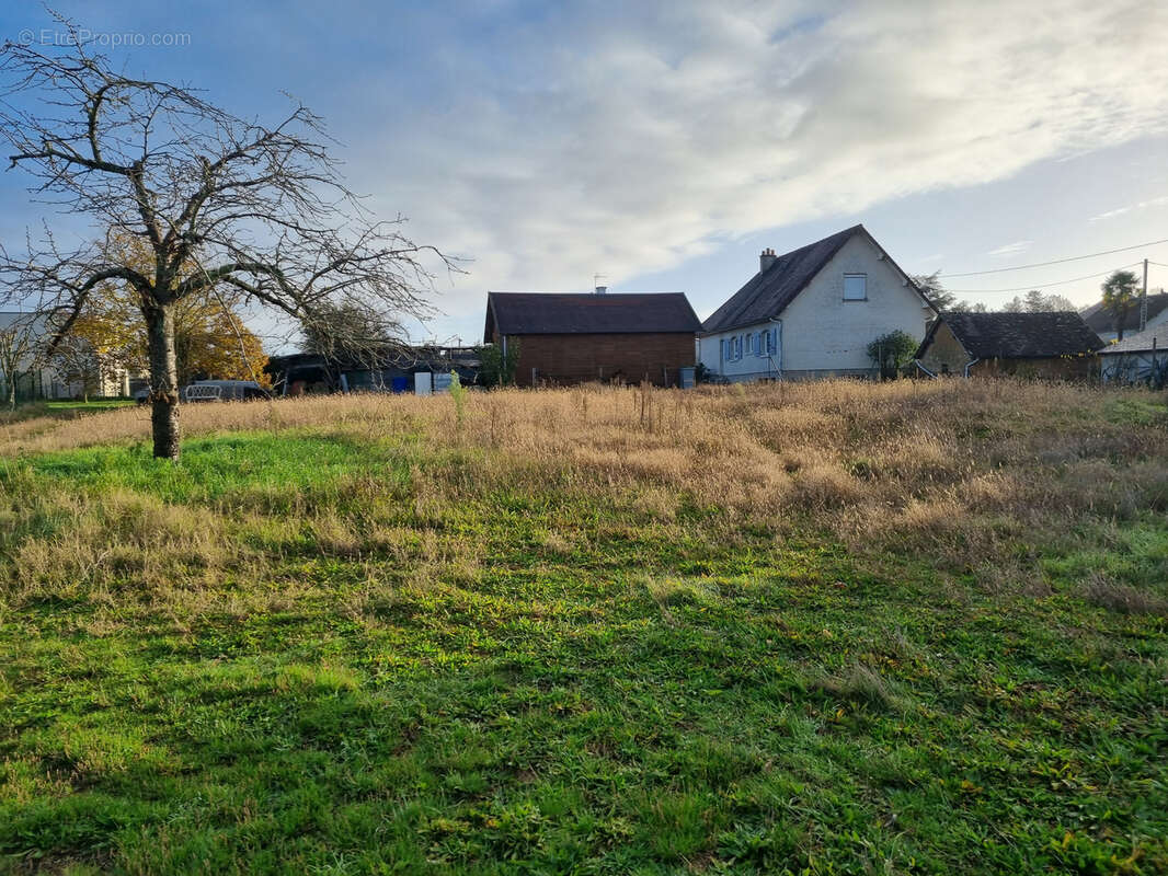 Terrain à MONCE-EN-BELIN