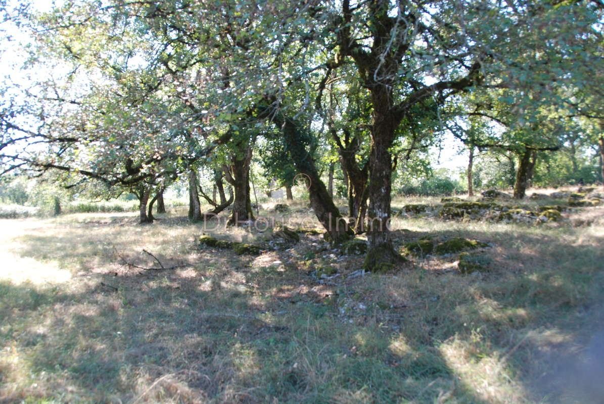 Terrain à LOUBRESSAC