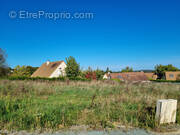 Terrain à PARIGNE-L&#039;EVEQUE