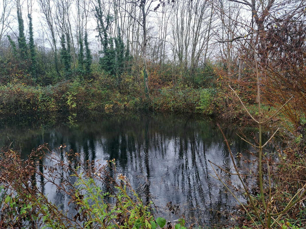 Terrain à BLIGNY-SUR-OUCHE