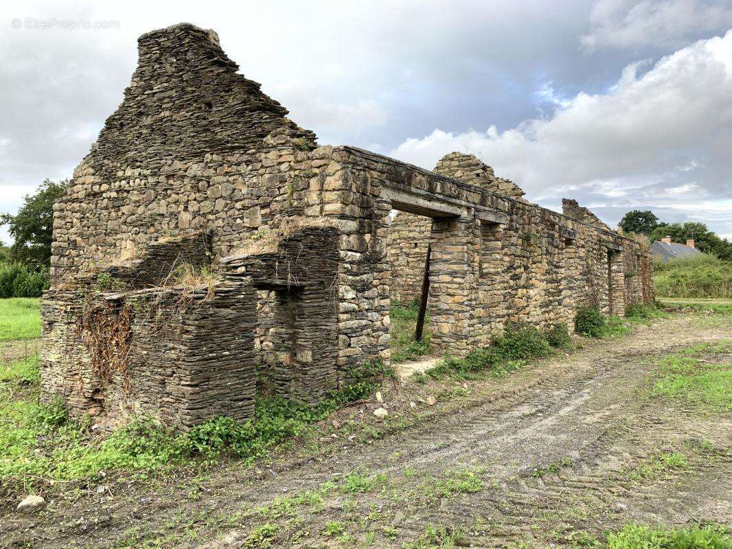 Terrain à SAINT-VINCENT-DES-LANDES