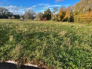 Terrain à SEIGNELAY