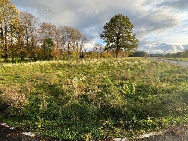 Terrain à SEIGNELAY