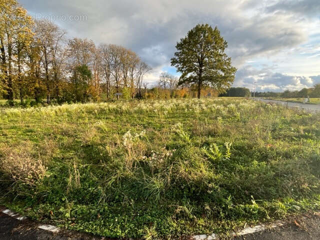 Terrain à SEIGNELAY