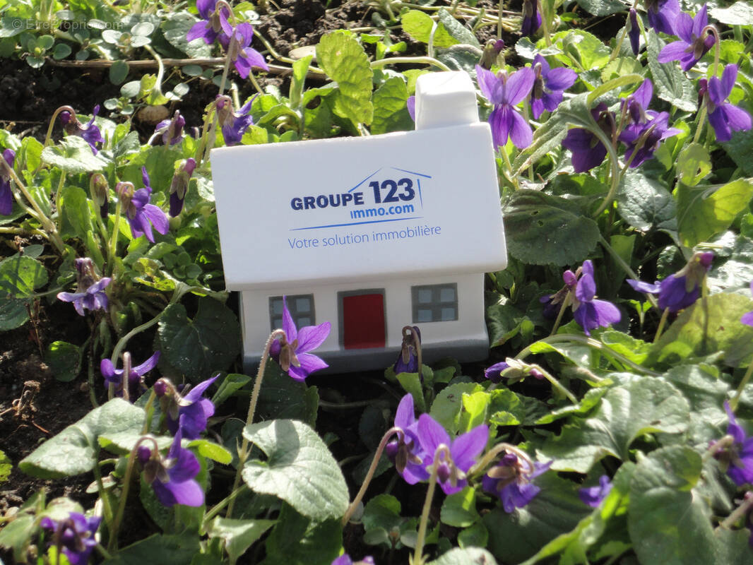 Terrain à SEIGNELAY