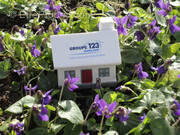 Terrain à SEIGNELAY