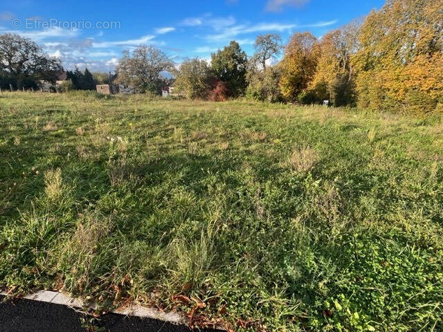 Terrain à SEIGNELAY