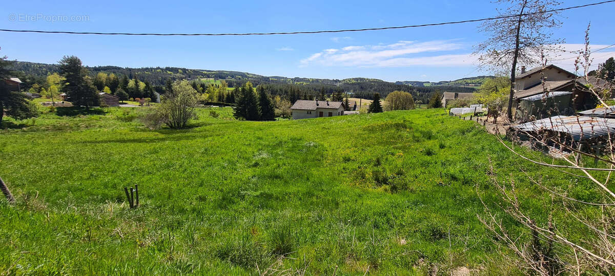Terrain à LE CHAMBON-SUR-LIGNON