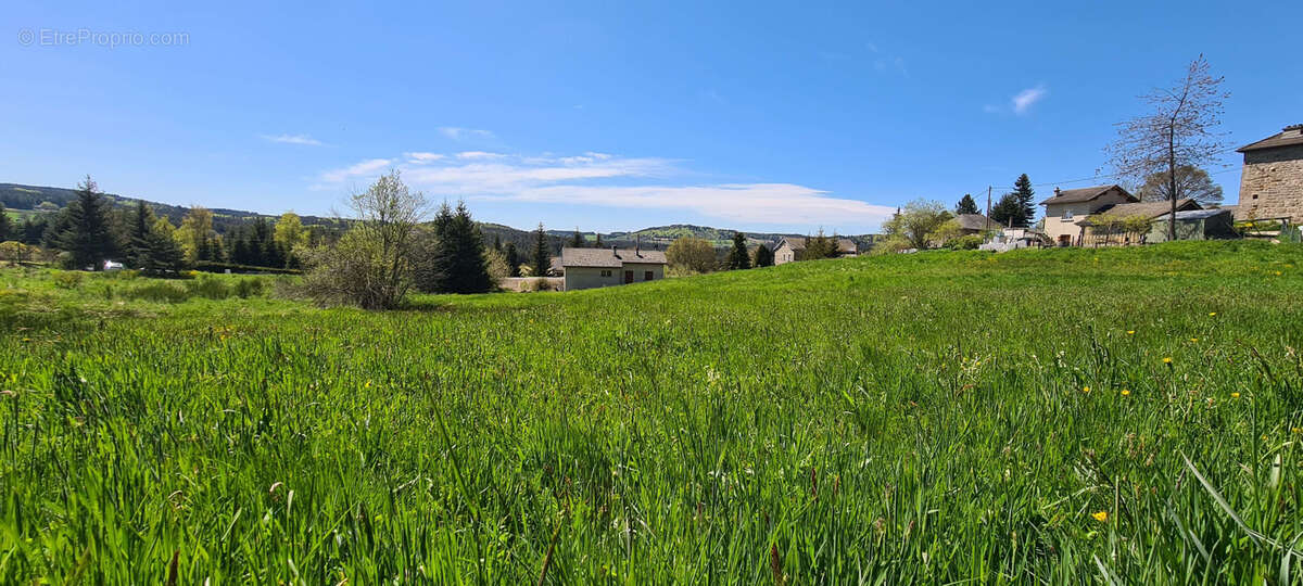 Terrain à LE CHAMBON-SUR-LIGNON