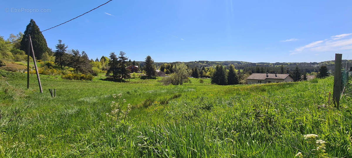 Terrain à LE CHAMBON-SUR-LIGNON