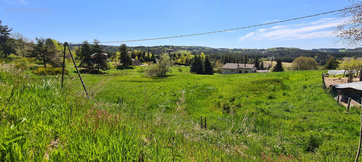 Terrain à LE CHAMBON-SUR-LIGNON