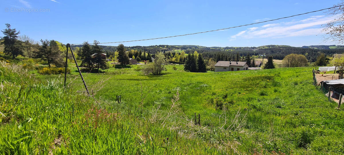 Terrain à LE CHAMBON-SUR-LIGNON