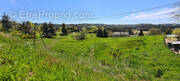 Terrain à LE CHAMBON-SUR-LIGNON