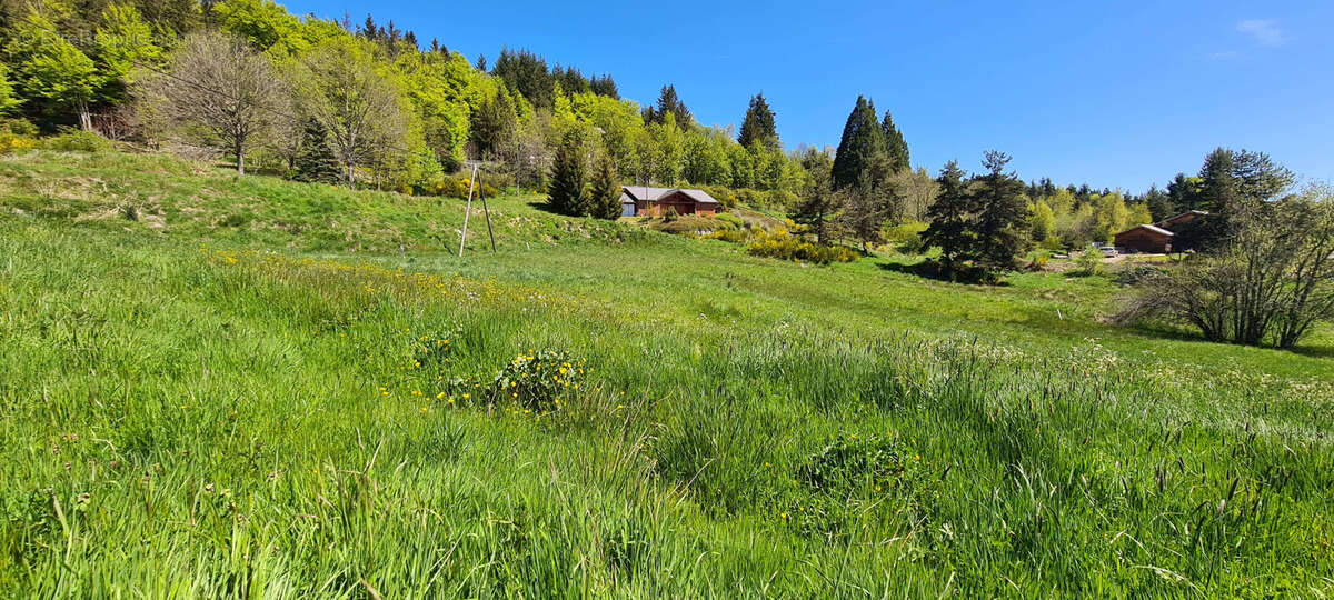 Terrain à LE CHAMBON-SUR-LIGNON