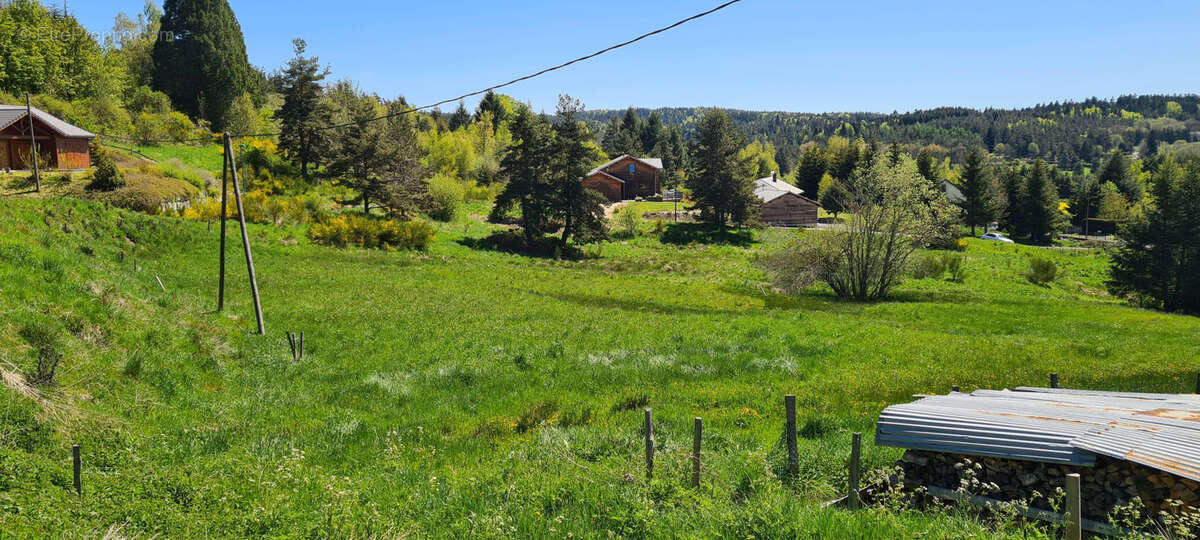 Terrain à LE CHAMBON-SUR-LIGNON