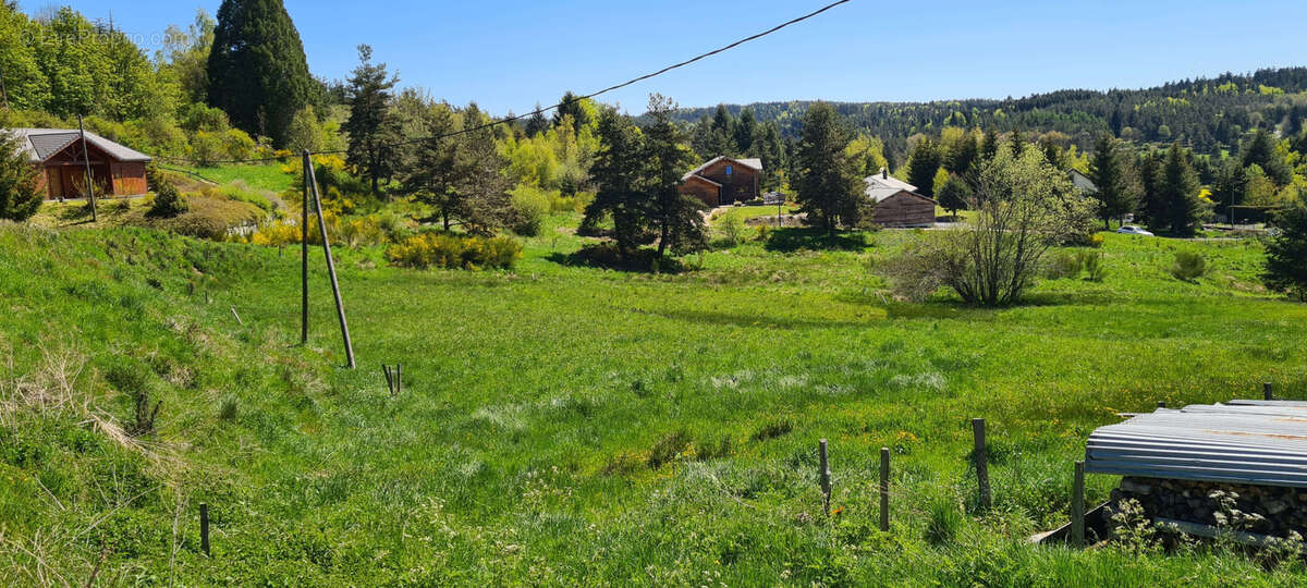 Terrain à LE CHAMBON-SUR-LIGNON