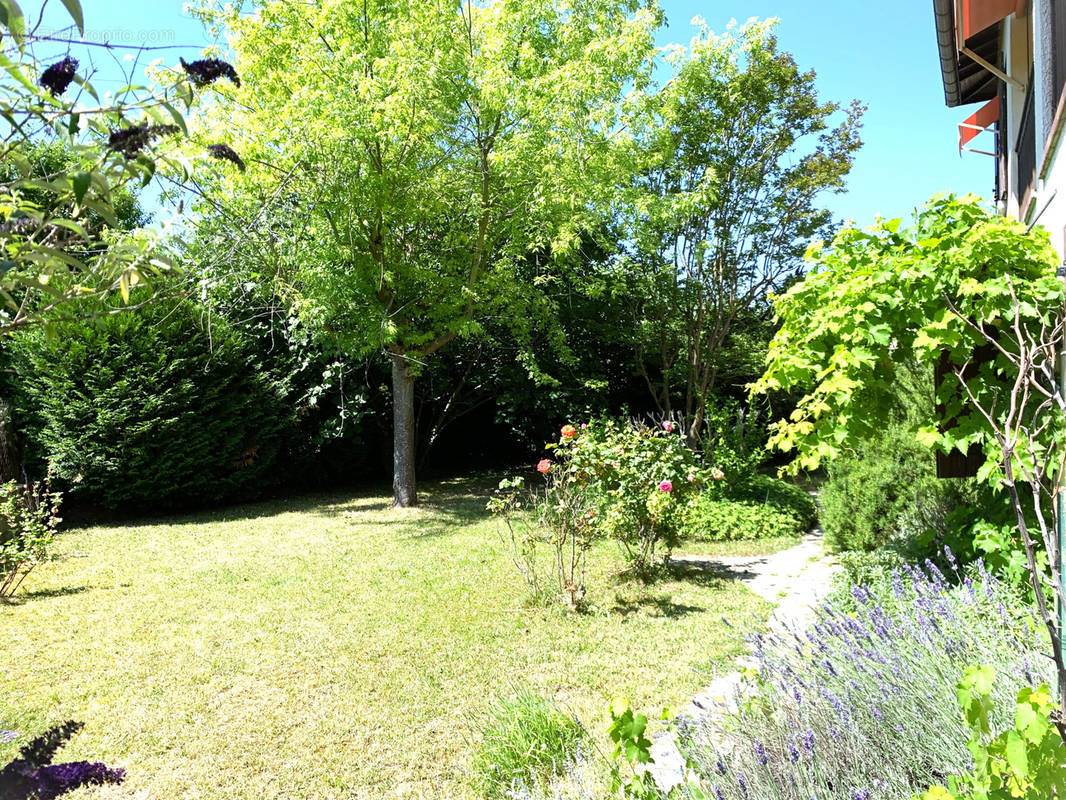 Maison à SAINT-SORLIN-EN-VALLOIRE