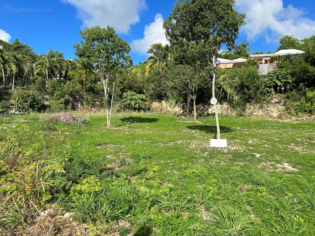 Terrain à GRAND-BOURG