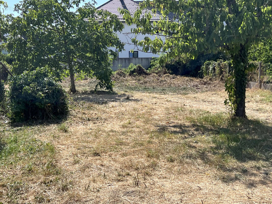 Terrain à KINGERSHEIM