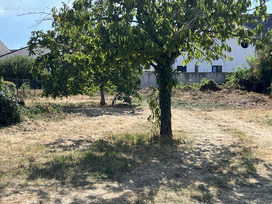 Terrain à KINGERSHEIM