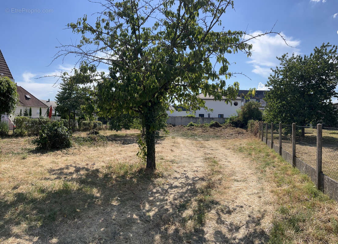 Terrain à KINGERSHEIM