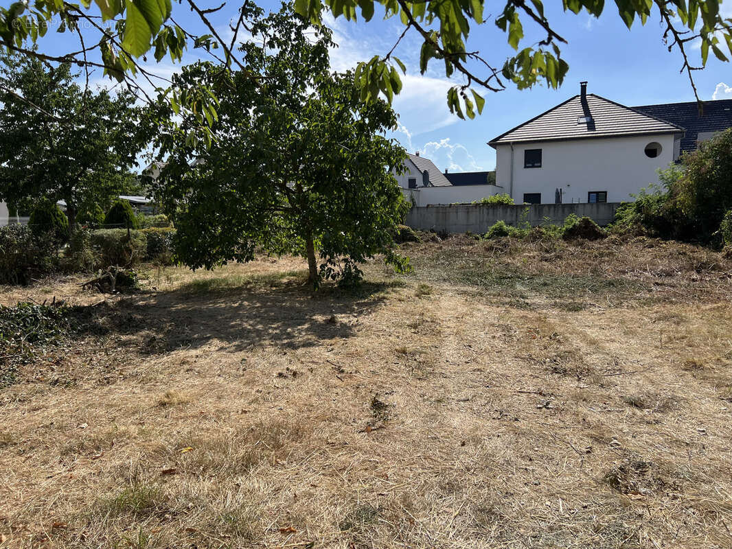 Terrain à KINGERSHEIM