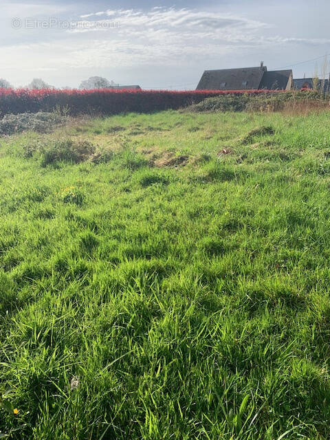 Terrain à AMBRIERES-LES-VALLEES