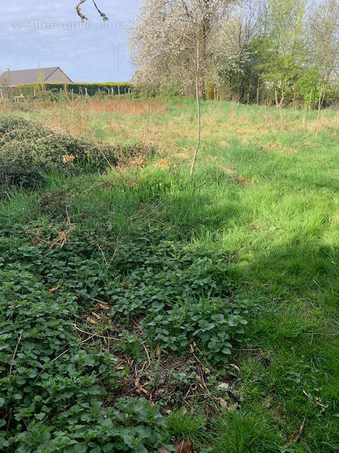Terrain à AMBRIERES-LES-VALLEES