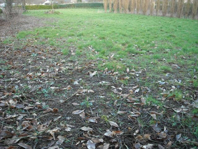 Terrain à AMBRIERES-LES-VALLEES