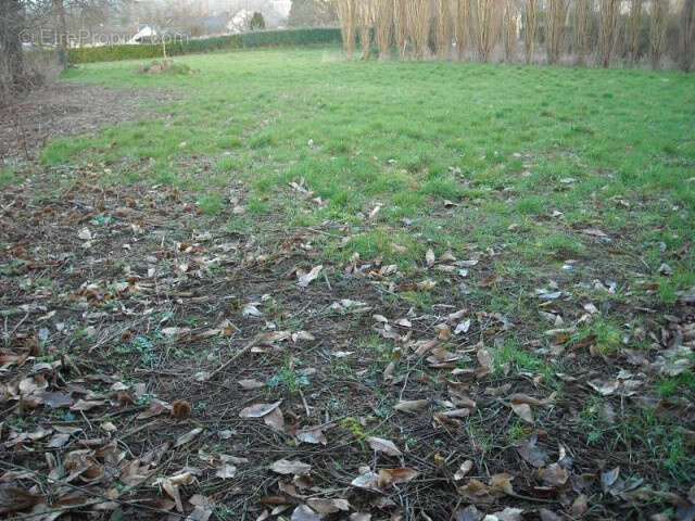 Terrain à AMBRIERES-LES-VALLEES