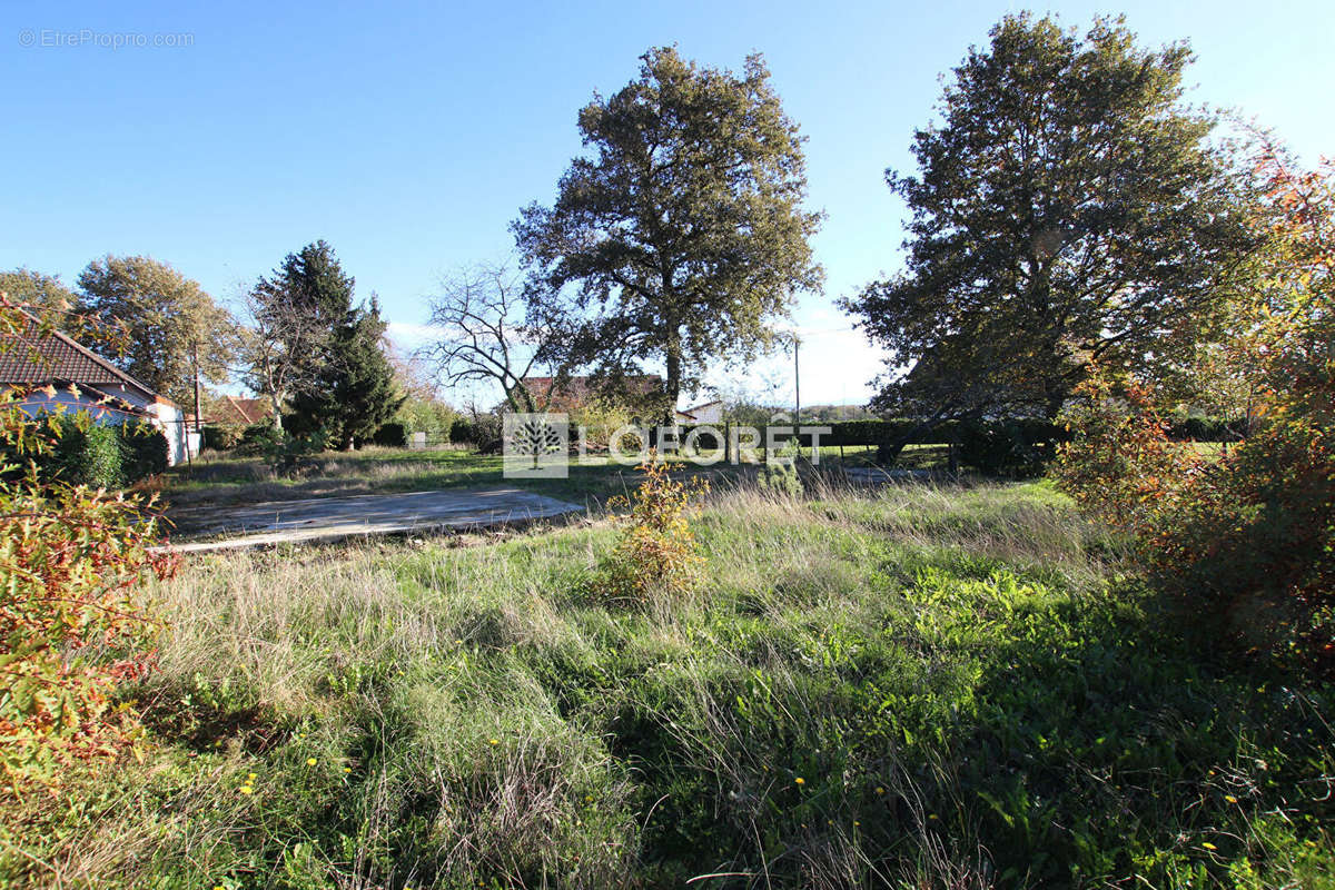 Terrain à CASTETIS