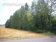 Terrain à VILLENEUVE-SUR-YONNE