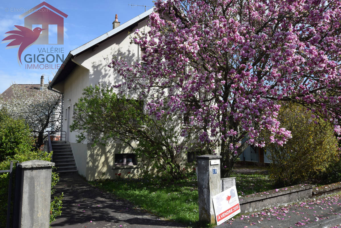 Maison à MONTBELIARD