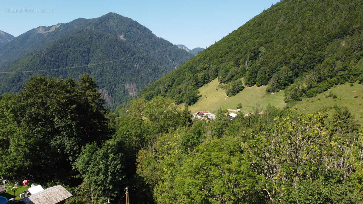 Terrain à SAINT-JEAN-D&#039;AULPS