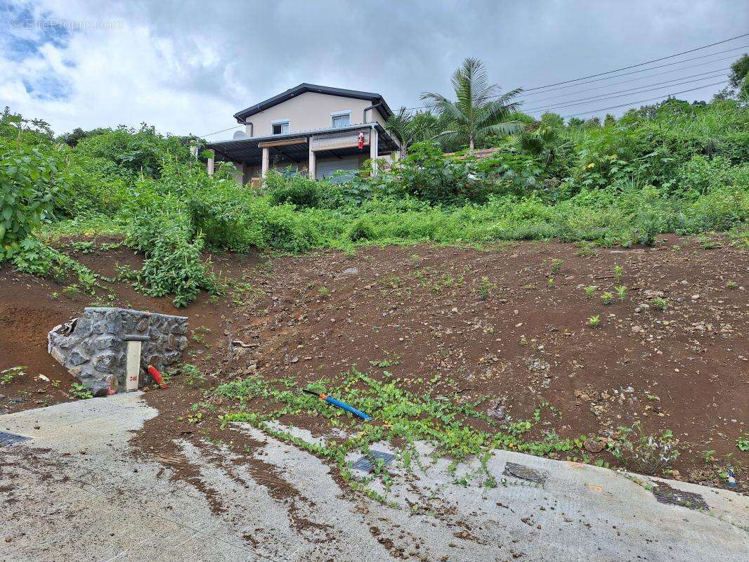 Terrain à SAINT-PAUL