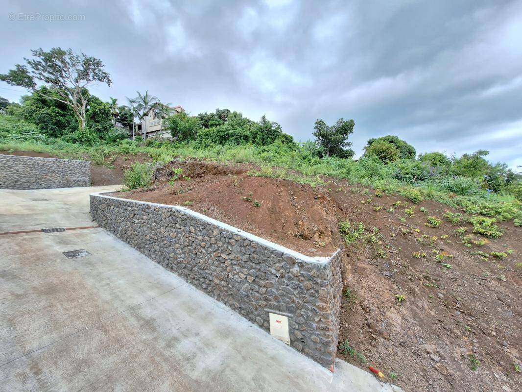 Terrain à SAINT-PAUL