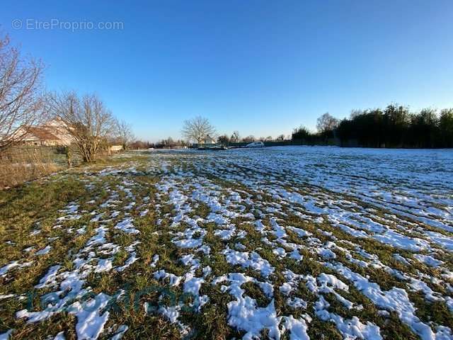 Terrain à PERCY-EN-AUGE