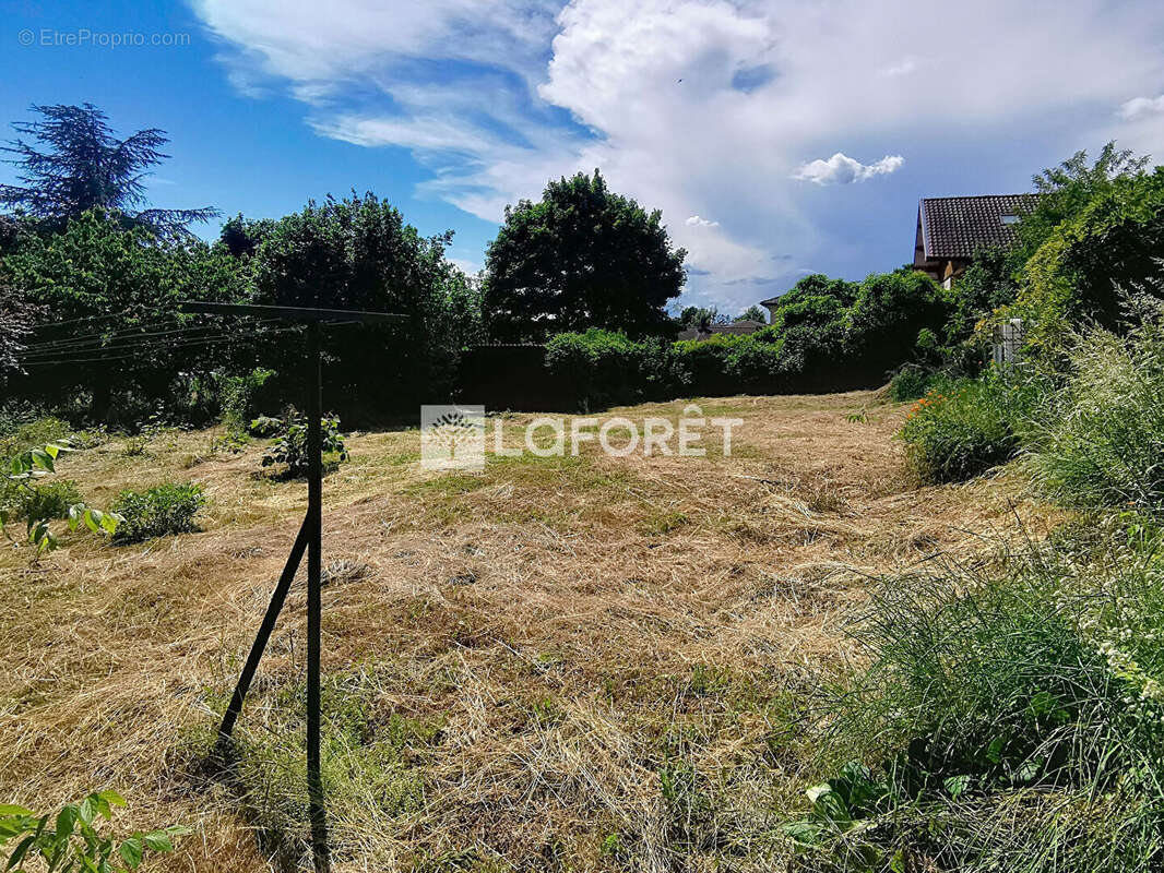 Terrain à REYRIEUX
