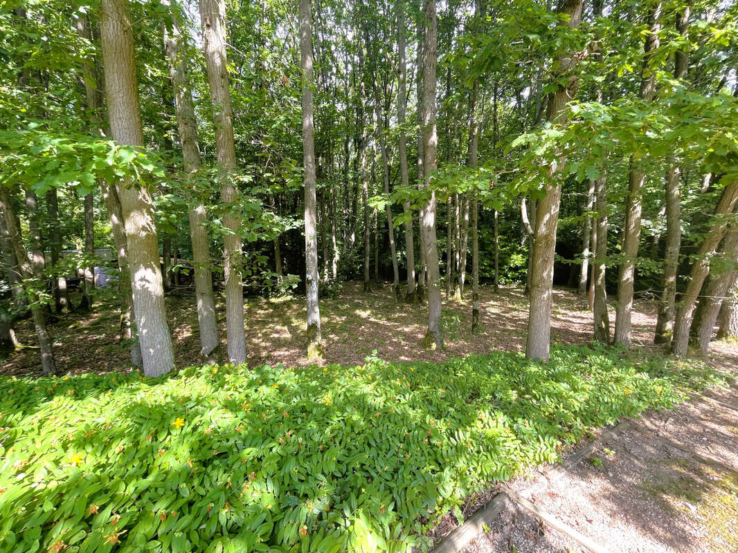 Maison à NOGENT-LE-PHAYE