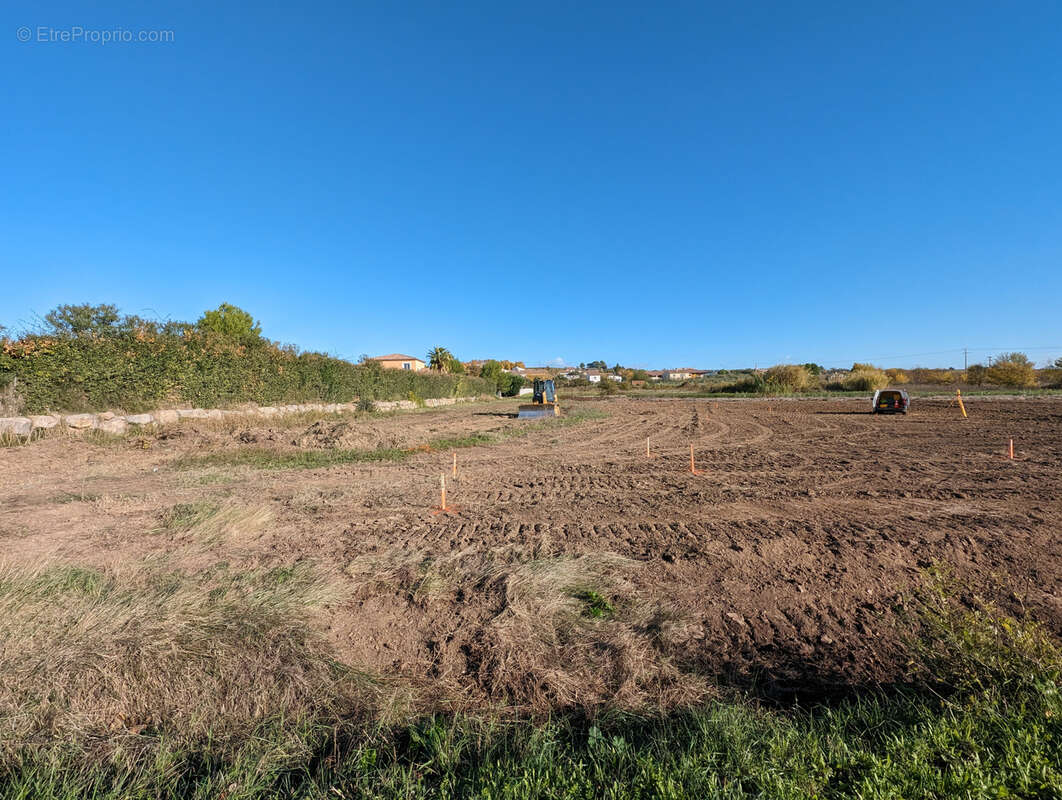 Terrain à PUISSERGUIER