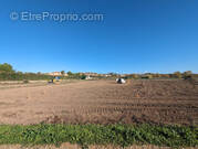 Terrain à PUISSERGUIER