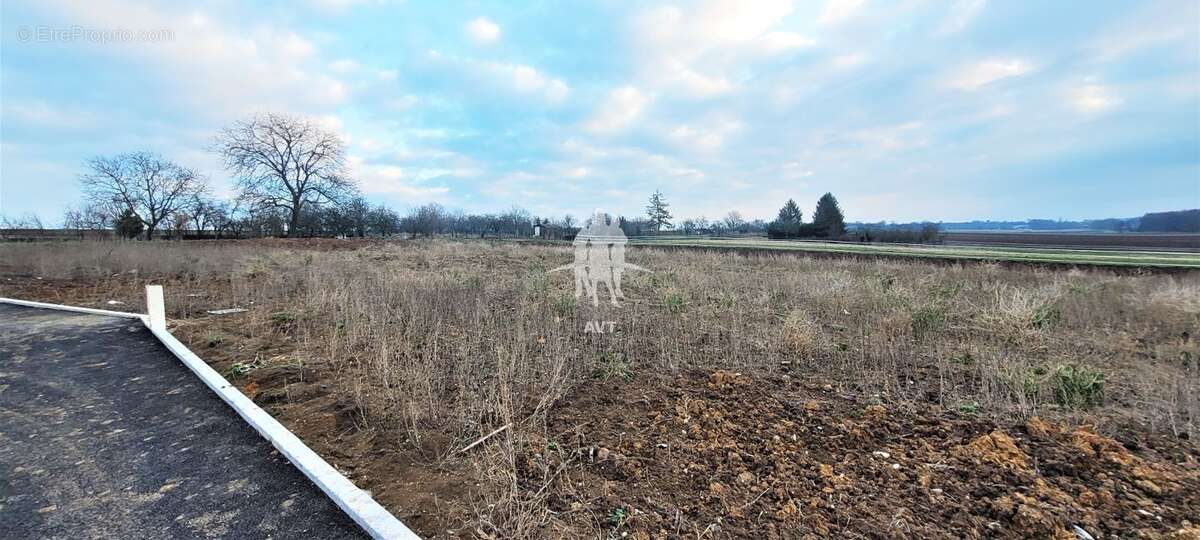 Terrain à OSTHOFFEN