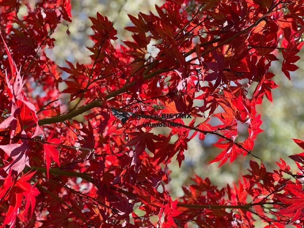 Maison à L'ISLE-ADAM