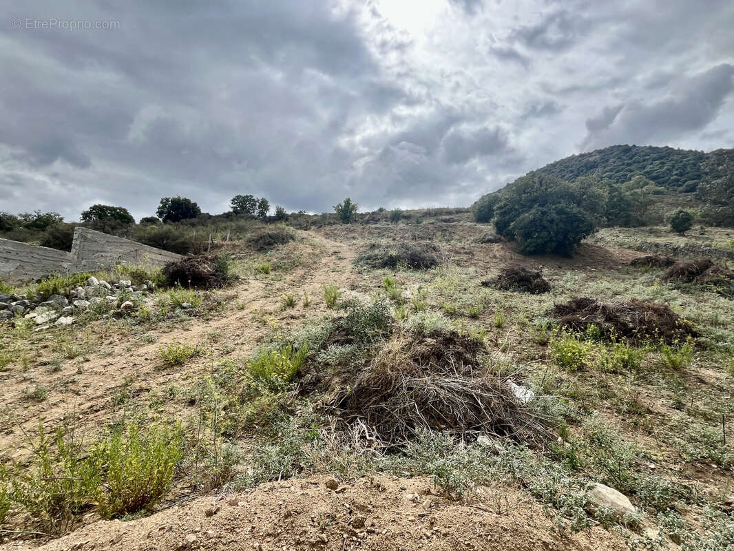 Terrain à MONTICELLO